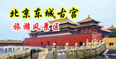 看黑皮大雞吧操日陰道中国北京-东城古宫旅游风景区